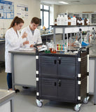 Lockable Cabinet Medical cart with 2 lockable doors 35.43 x 19.7"  (US stock) - JaboeEuip